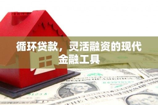 海港循环贷款，灵活融资的现代金融工具