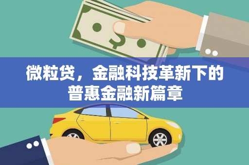 海港微粒贷，金融科技革新下的普惠金融新篇章