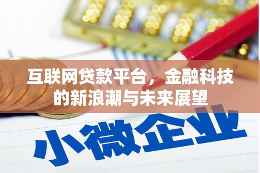 海港互联网贷款平台，金融科技的新浪潮与未来展望
