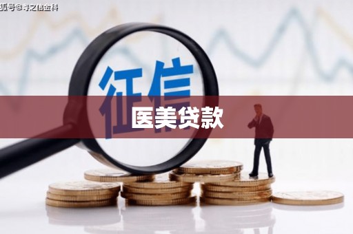海港医美贷款