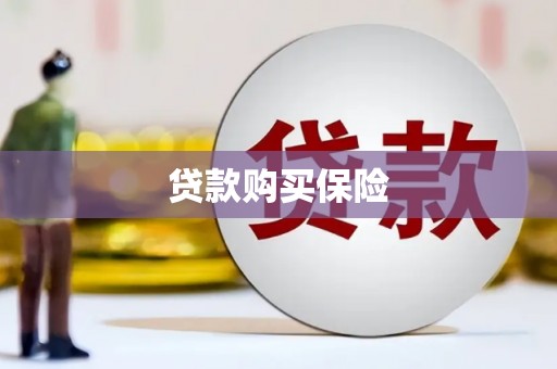 海港贷款购买保险