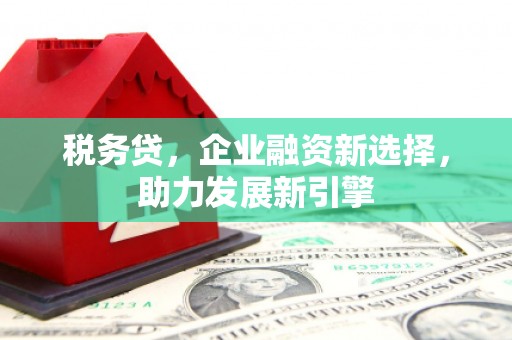 海港税务贷，企业融资新选择，助力发展新引擎