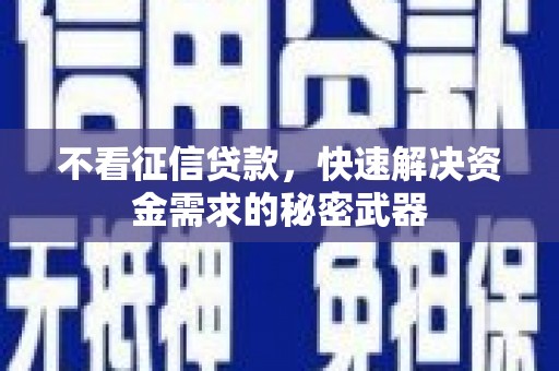 海港不看征信贷款，快速解决资金需求的秘密武器