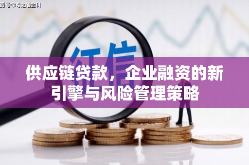 海港供应链贷款，企业融资的新引擎与风险管理策略