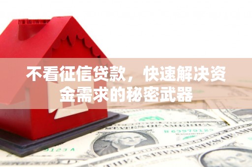 海港不看征信贷款，快速解决资金需求的秘密武器