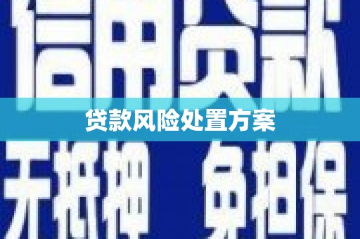 海港贷款风险处置方案