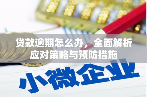 海港贷款逾期怎么办，全面解析应对策略与预防措施