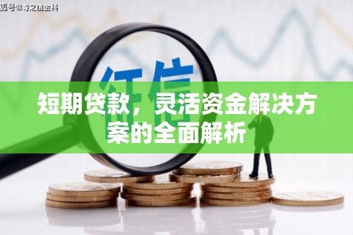 海港短期贷款，灵活资金解决方案的全面解析