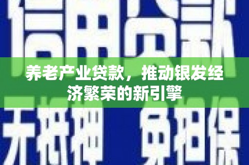 海港养老产业贷款，推动银发经济繁荣的新引擎