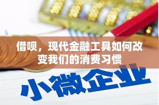 海港借呗，现代金融工具如何改变我们的消费习惯