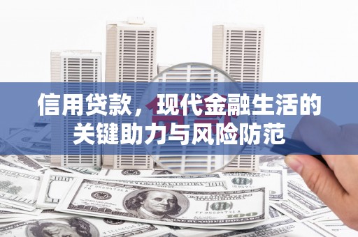 海港信用贷款，现代金融生活的关键助力与风险防范