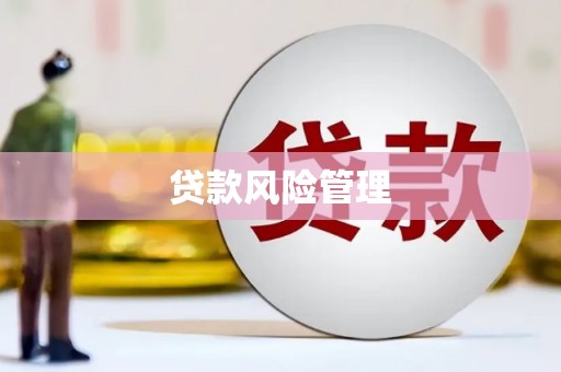 海港贷款风险管理