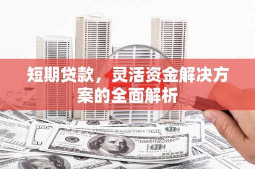 海港短期贷款，灵活资金解决方案的全面解析