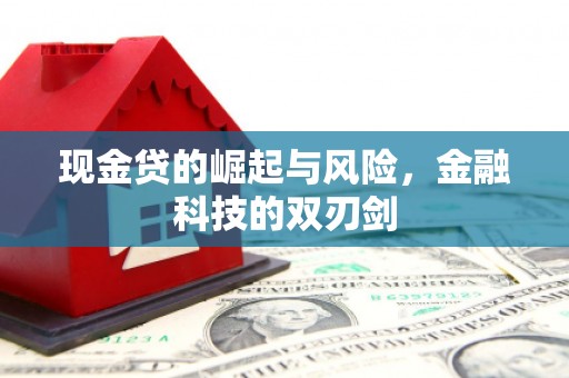海港现金贷的崛起与风险，金融科技的双刃剑