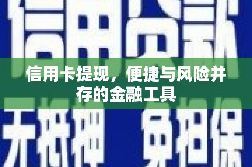 海港信用卡提现，便捷与风险并存的金融工具