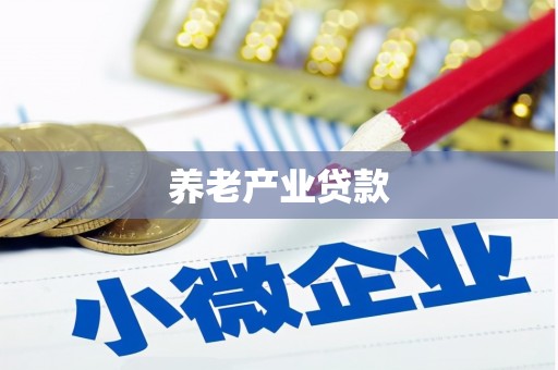 海港养老产业贷款