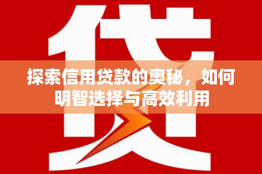 海港探索信用贷款的奥秘，如何明智选择与高效利用