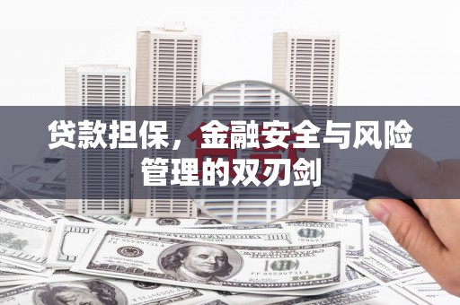 海港贷款担保，金融安全与风险管理的双刃剑