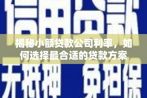 海港揭秘小额贷款公司利率，如何选择最合适的贷款方案