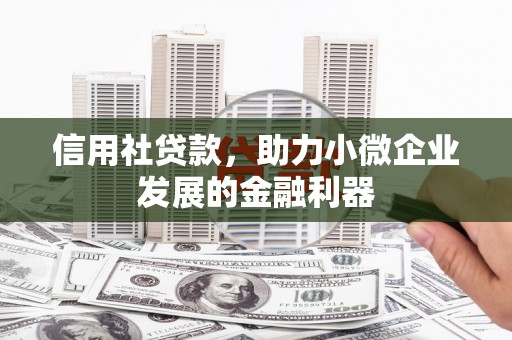 海港信用社贷款，助力小微企业发展的金融利器