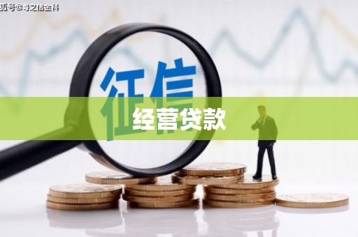 海港经营贷款