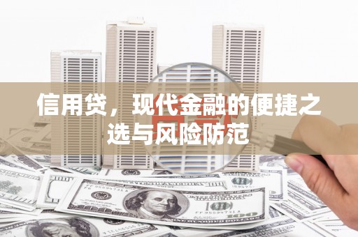 海港信用贷，现代金融的便捷之选与风险防范