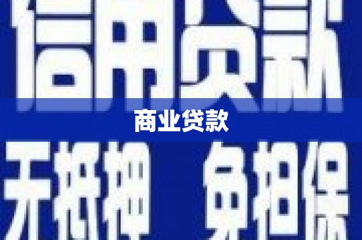 海港商业贷款