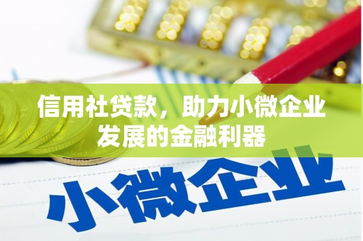 海港信用社贷款，助力小微企业发展的金融利器