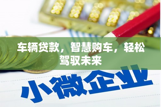 海港车辆贷款，智慧购车，轻松驾驭未来