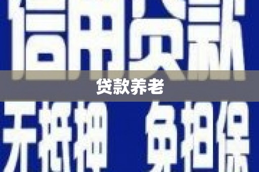 海港贷款养老
