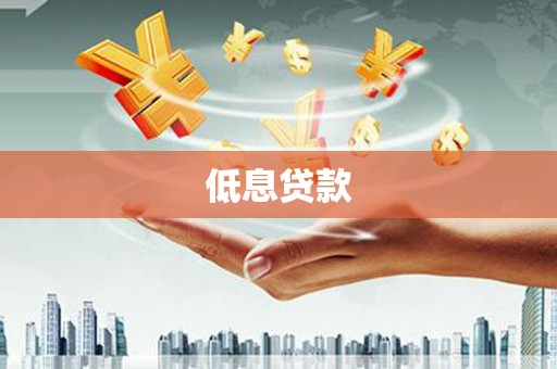 海港低息贷款
