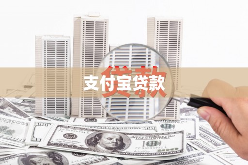 海港支付宝贷款