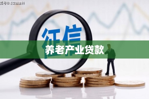 海港养老产业贷款