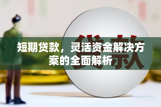 海港短期贷款，灵活资金解决方案的全面解析