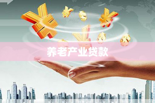 海港养老产业贷款