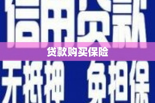海港贷款购买保险