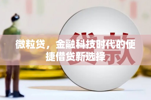 海港微粒贷，金融科技时代的便捷借贷新选择