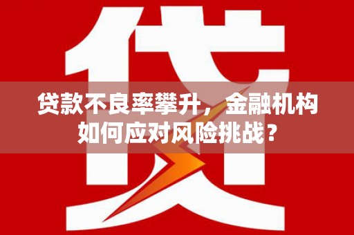 海港贷款不良率攀升，金融机构如何应对风险挑战？