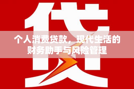 海港个人消费贷款，现代生活的财务助手与风险管理