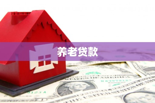 海港养老贷款