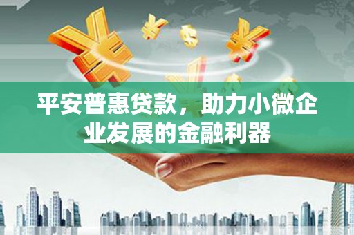 海港平安普惠贷款，助力小微企业发展的金融利器