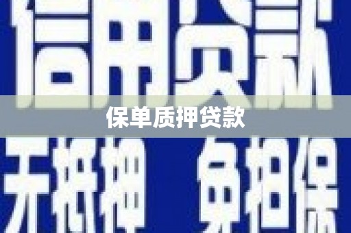 海港保单质押贷款