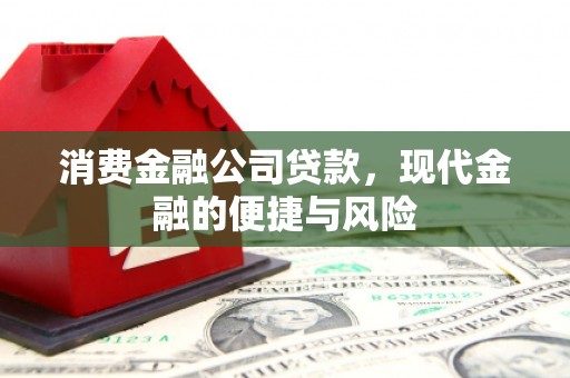 海港消费金融公司贷款，现代金融的便捷与风险