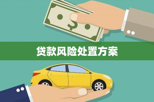海港贷款风险处置方案