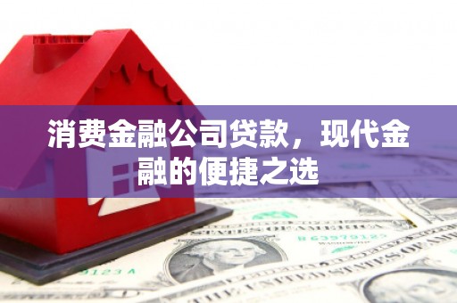 海港消费金融公司贷款，现代金融的便捷之选