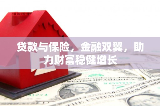 海港贷款与保险，金融双翼，助力财富稳健增长
