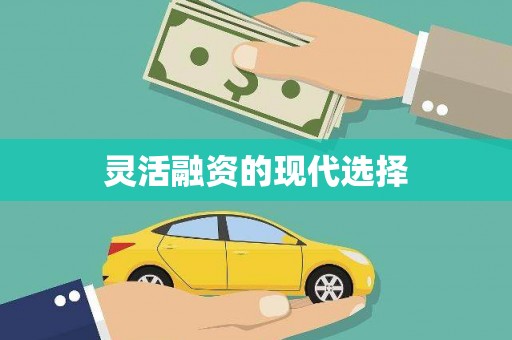 海港灵活融资的现代选择