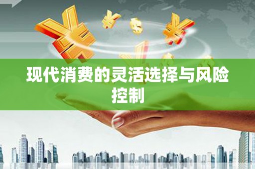 海港现代消费的灵活选择与风险控制