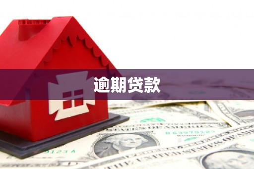 海港逾期贷款
