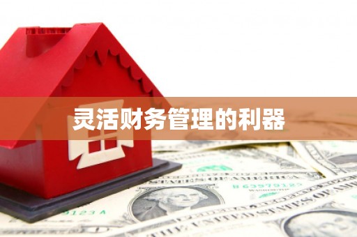 海港灵活财务管理的利器